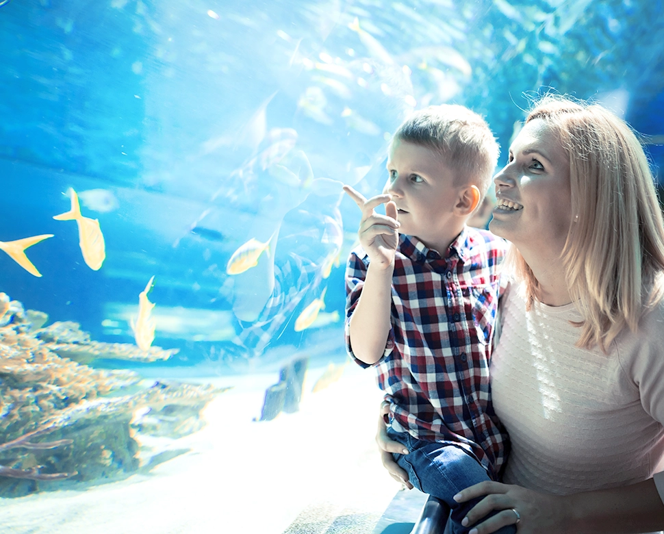 Mother and son at aquarium using Day-to-Day Discounts